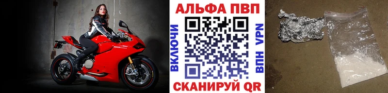 OMG Кингисепп сайты даркнета телеграм Альфа ПВП VHQ