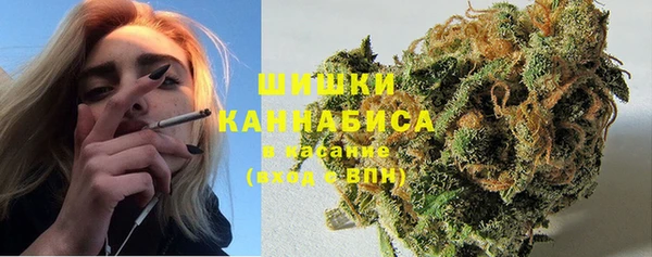 дмт Абаза