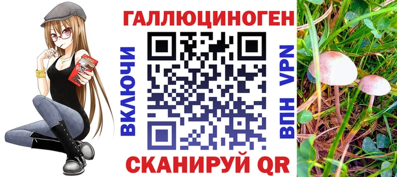 наркотики  Кингисепп  Псилоцибиновые грибы Magic Shrooms 