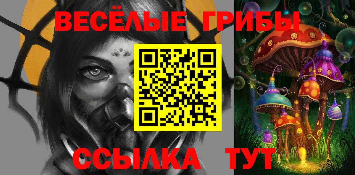 Псилоцибиновые грибы MAGIC MUSHROOMS Кингисепп