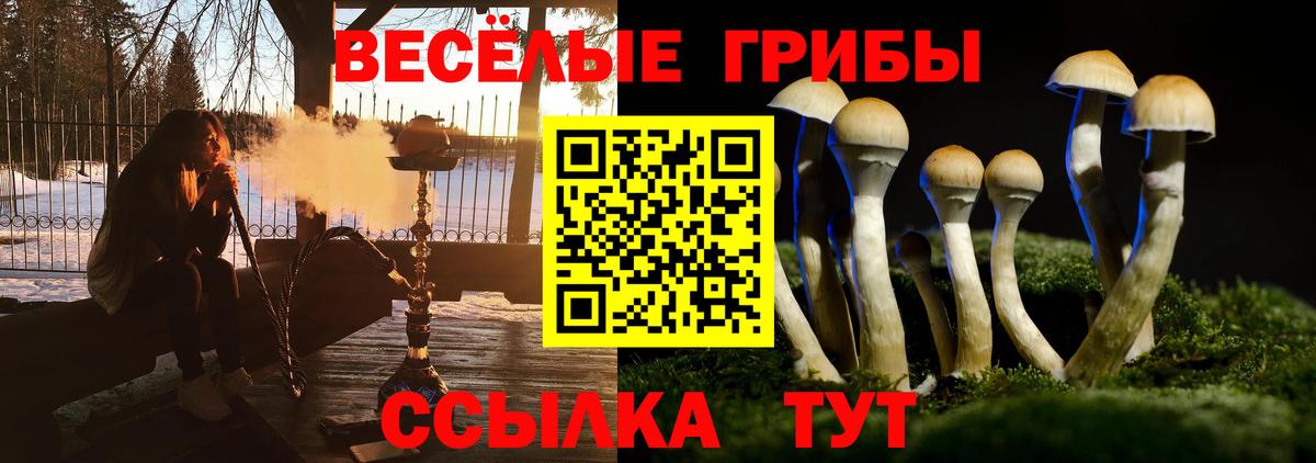 Псилоцибиновые грибы прущие грибы  Псилоцибиновые грибы мицелий  сколько стоит  Кингисепп  Вход с VPN 