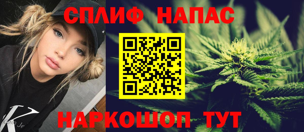 Конопля планчик Кингисепп